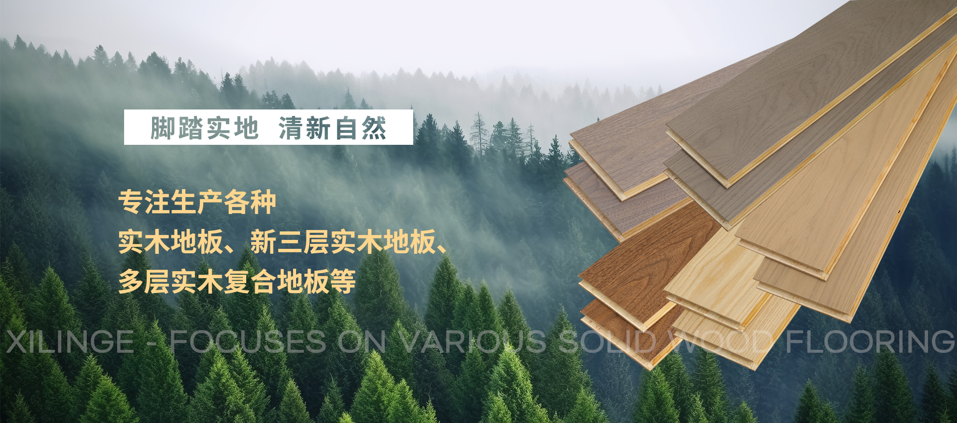 滾動(dòng)軸承